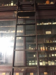 14581354_1120818254640427_8054670113912785229_n